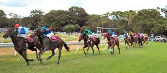 Horse racing, a pouplar sport for fans and visitors vacationing in Barbados