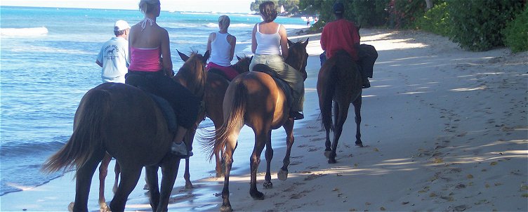 Horse riding on a Barbados beach
