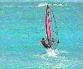 Barbados Windsurfing
