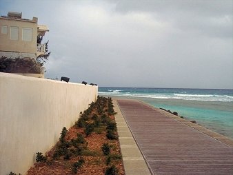 Planting shrubs along the Barbados south ocean condos along the south coast boardwalk