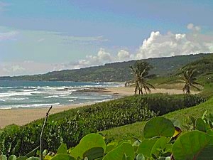 Cattlewash Beach Barbados