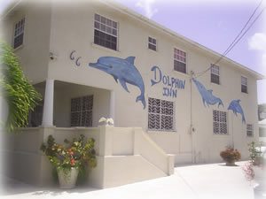 The Dolphin Pub