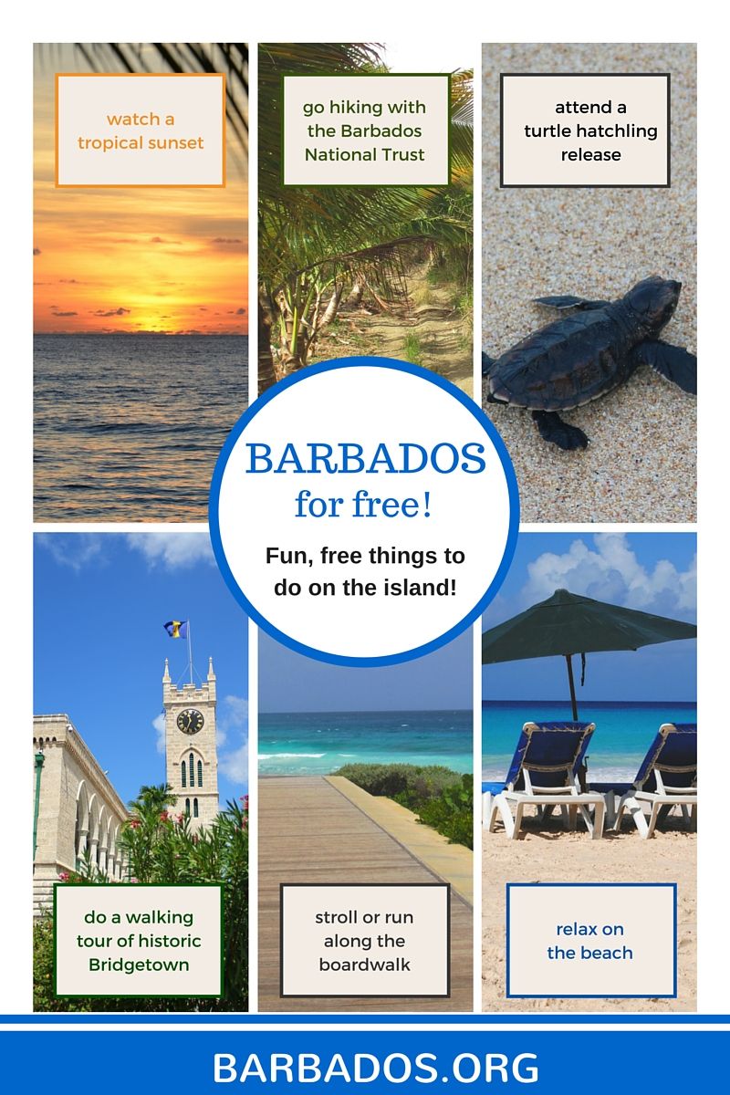 Explore as dez melhores coisas para saborear em Barbados - Visite