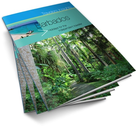 Free Travellers Insights Magazine Download