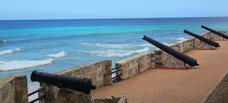 Cannon guarding Charles Fort