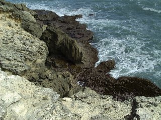 Cove Bay, Barbados