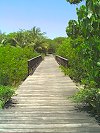 Boardwalk