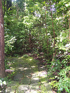 Grenade Hall Forest Grenade Hall forest, Barbados