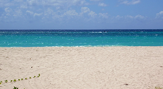 Watersports near Sandy Lane beach