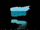 Animal Flower Cave