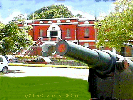 Cannon Collection