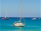 Yachts by the Marina