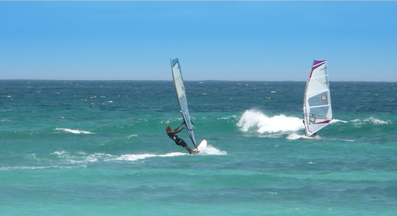 Barbados Turtle Beach