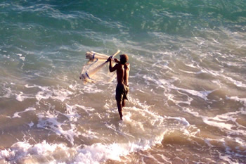 Bajan fisherman casting a net in Bathsheba