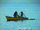 Click to see the Bajan fishermen in action!