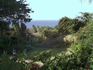 Andromeda Gardens, Barbados