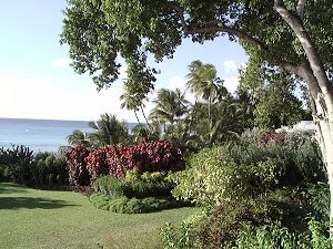 Barbados gardens