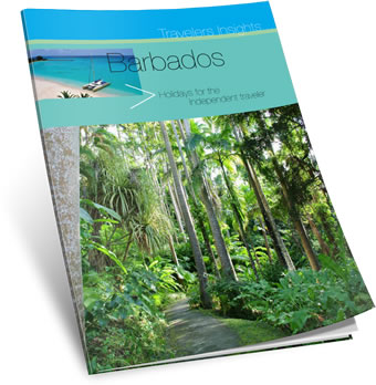Free Travellers Insights Magazine Download