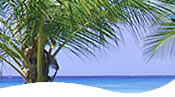 Barbados long stay visitors