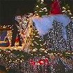 Special Barbados events