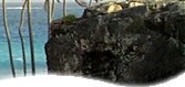 Barbados vacations