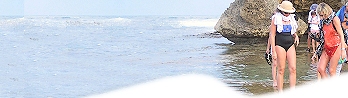 Discover Barbados