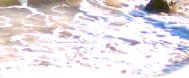 Fishing in Barbados