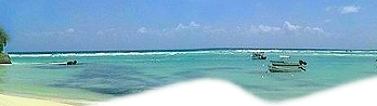 Discover Barbados