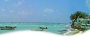 Discover Barbados