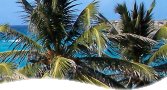 Barbados Tours