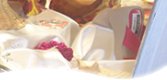 Barbados Tours