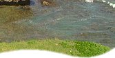 Barbados Tours