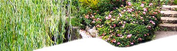 Barbados Island Tours