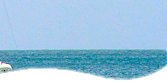 Barbados Tours