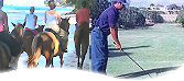 Barbados Active Vacations