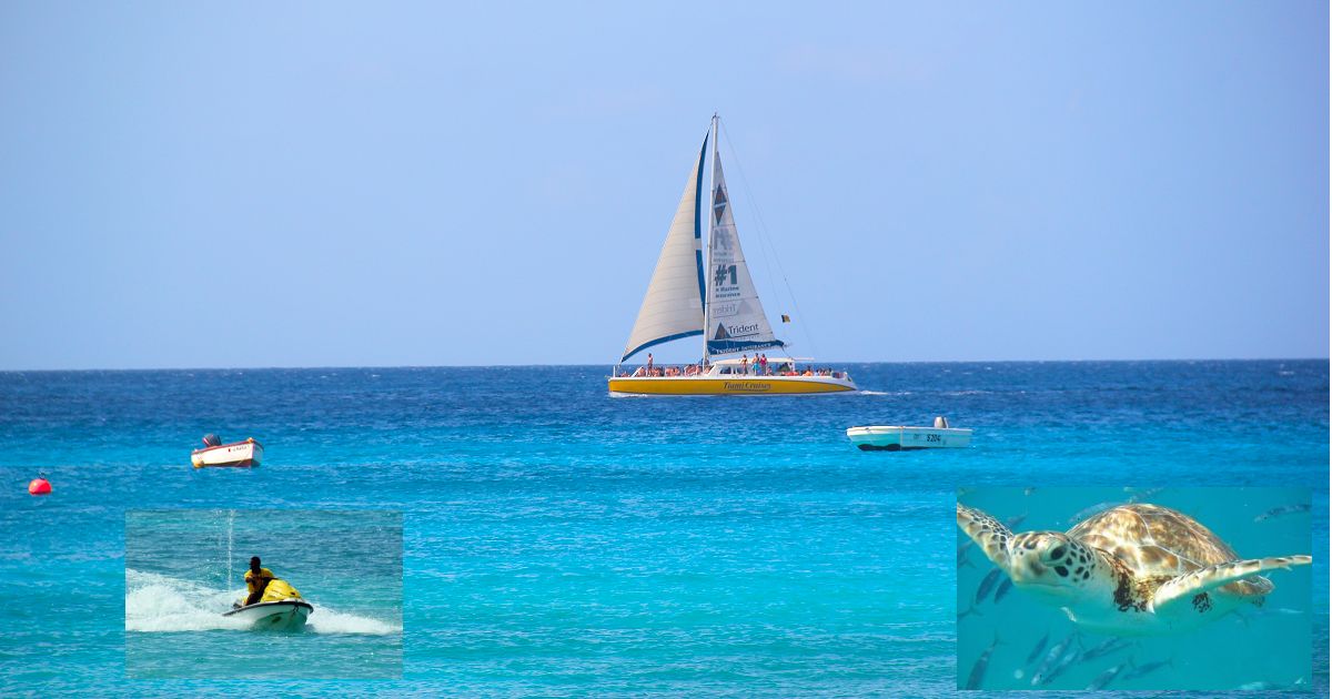 Barbados Sea And Submarine Tours Water Fun In The Caribbean