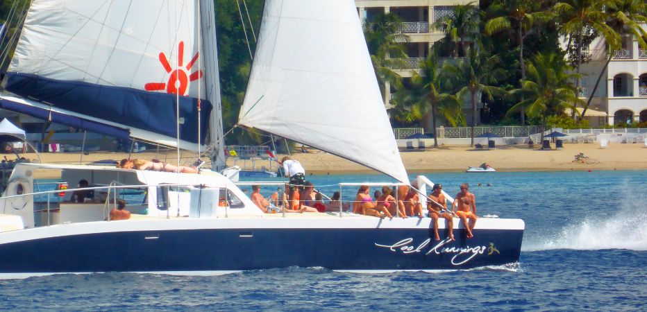 Group of visitors enjoying a sunny day at sea on a catamaran cruise