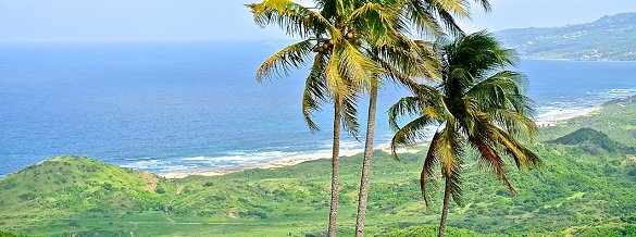 Explore the Barbados countryside with these hikes and walks