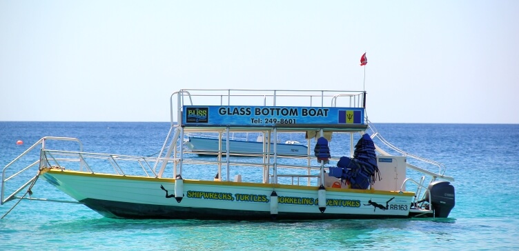 Glass bottom boat tours