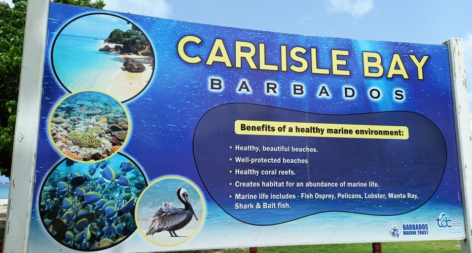Signboard explaining the benefits of a healthy marine environment