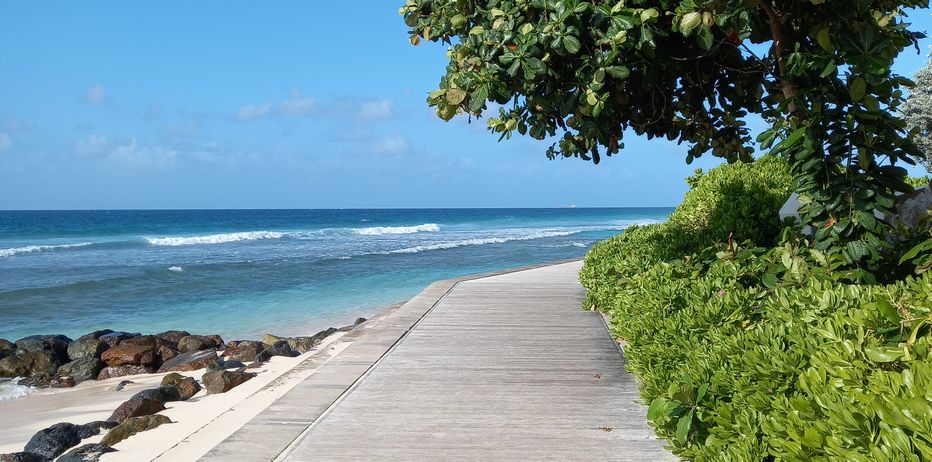 South Coast Boardwalk