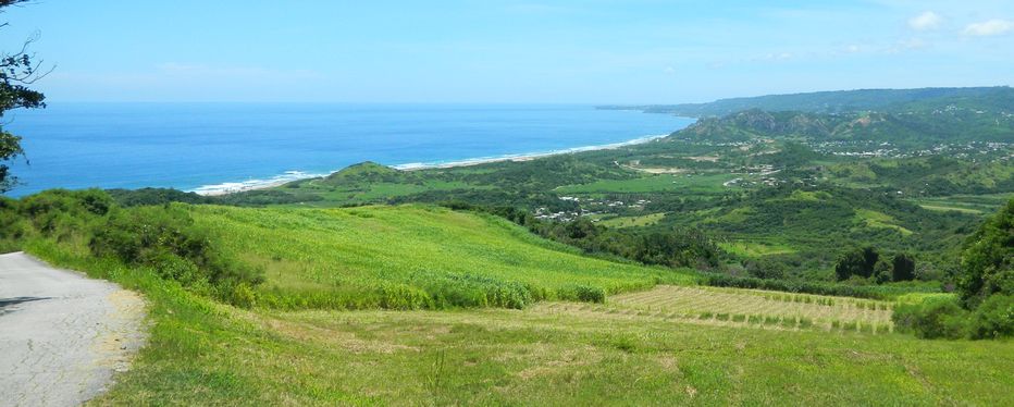 View from Cherry Tree Hill