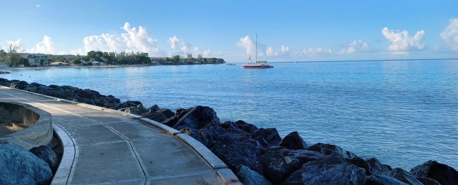 Early morning along the west coast boardwalk