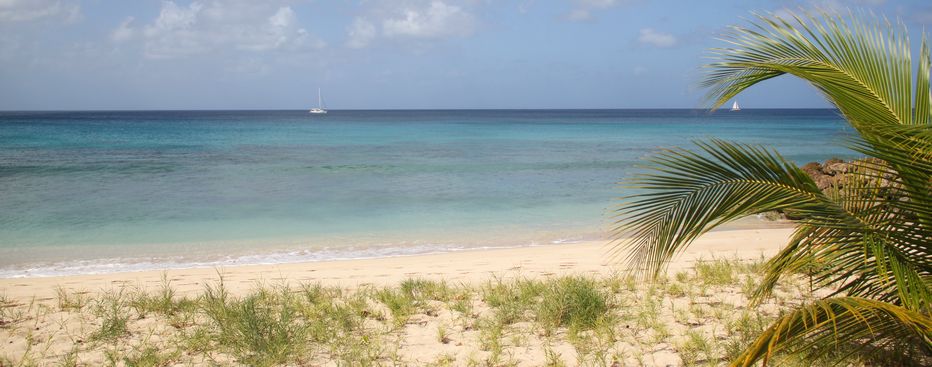 Along the speightstown run route