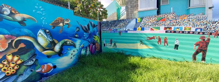 Marine life and cricket themed murals