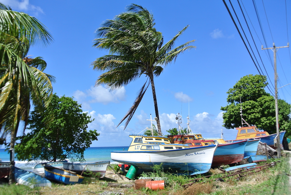 6 mens bay fishing villa boats- popular with vujaday barbados fans