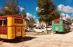 #1 Bajan Bus a Barbados Classic