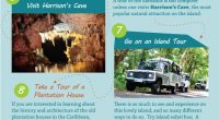 Top Things To Do in Barbados – Infographic