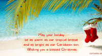 🎄🌞 Warmest Christmas wishes from sun-soaked Barbados