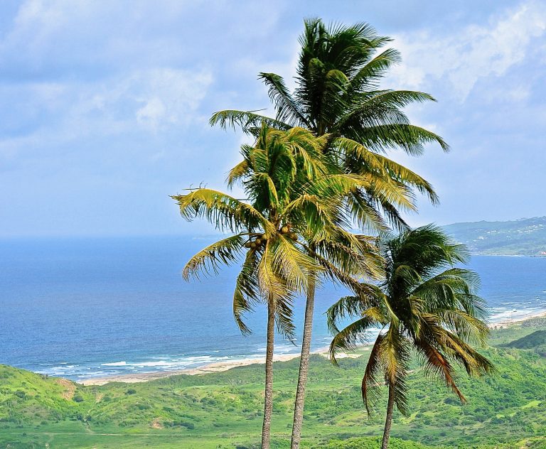 Carlisle Bay Warehouse Demolished for Hyatt Ziva Hotel